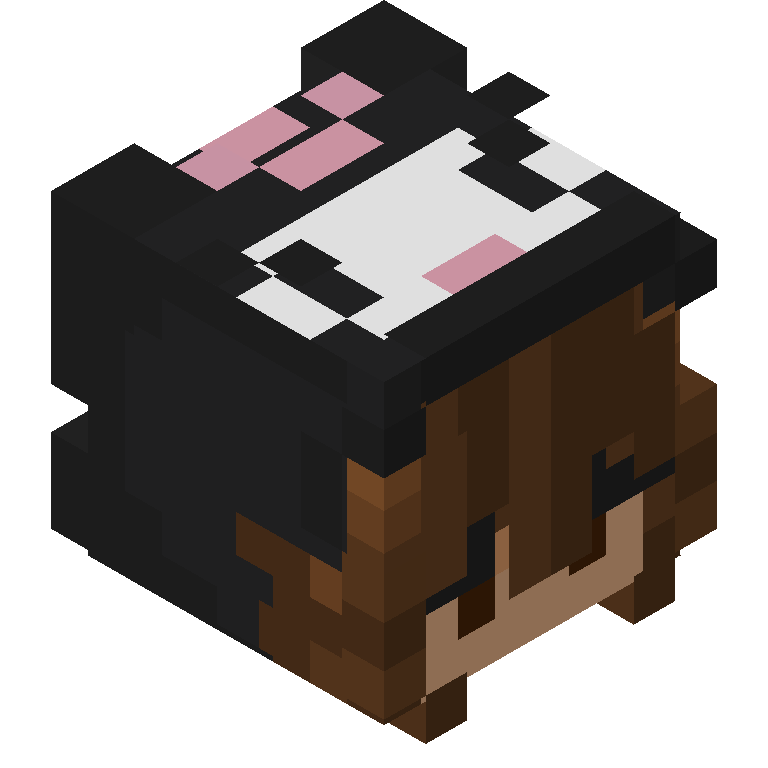 HEAD_ISO