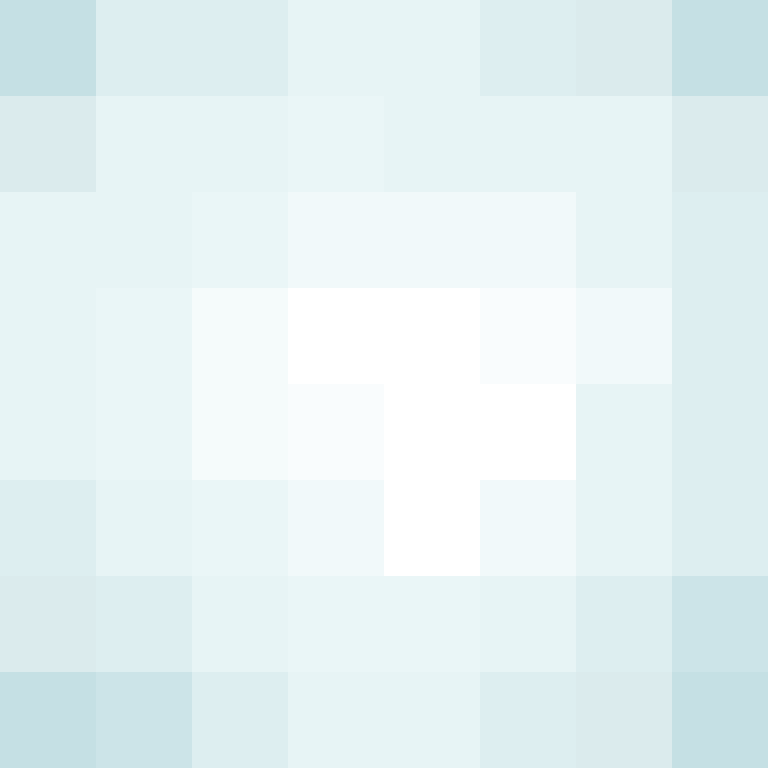 ShaWagga's skin