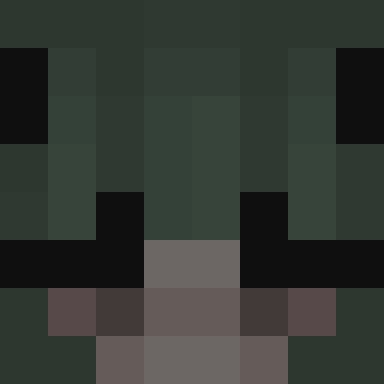 Nerbzzz's skin