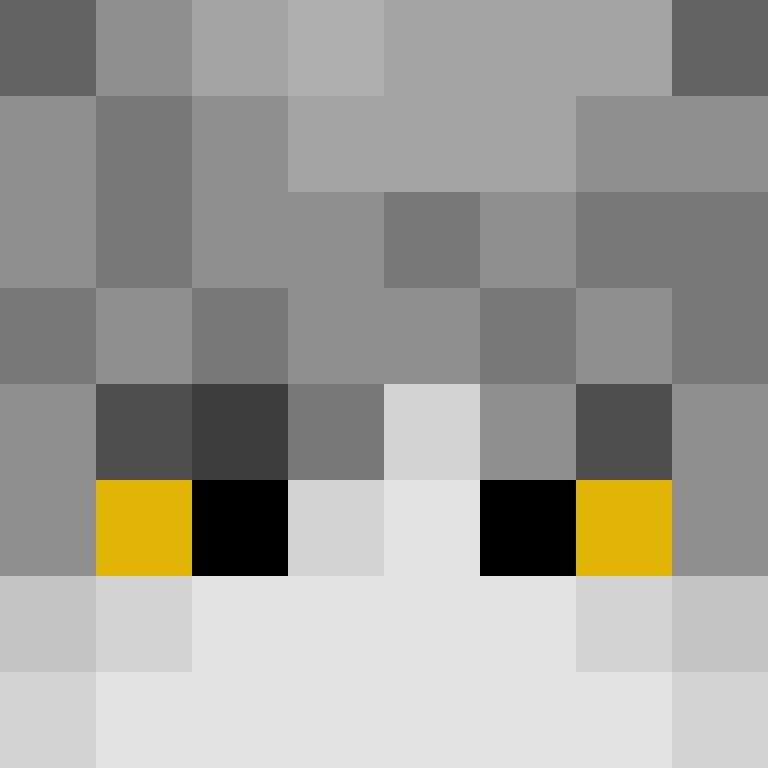 ht1_rayy's skin