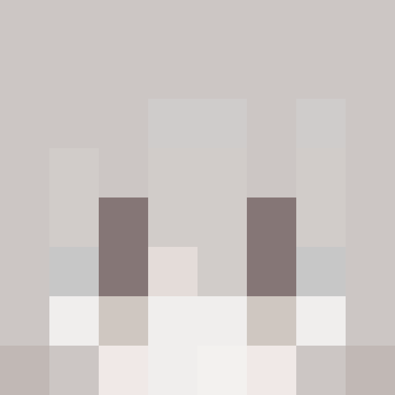 Smyczex's skin