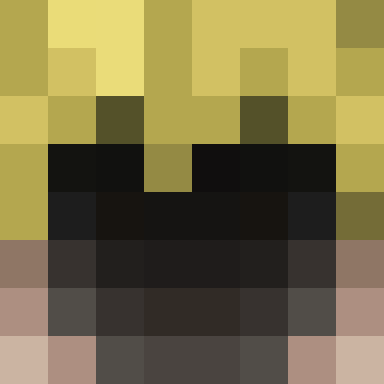 Ninjahunterking's skin