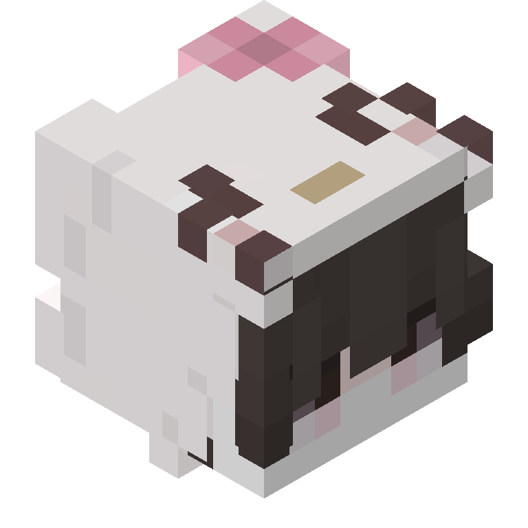 HEAD_ISO