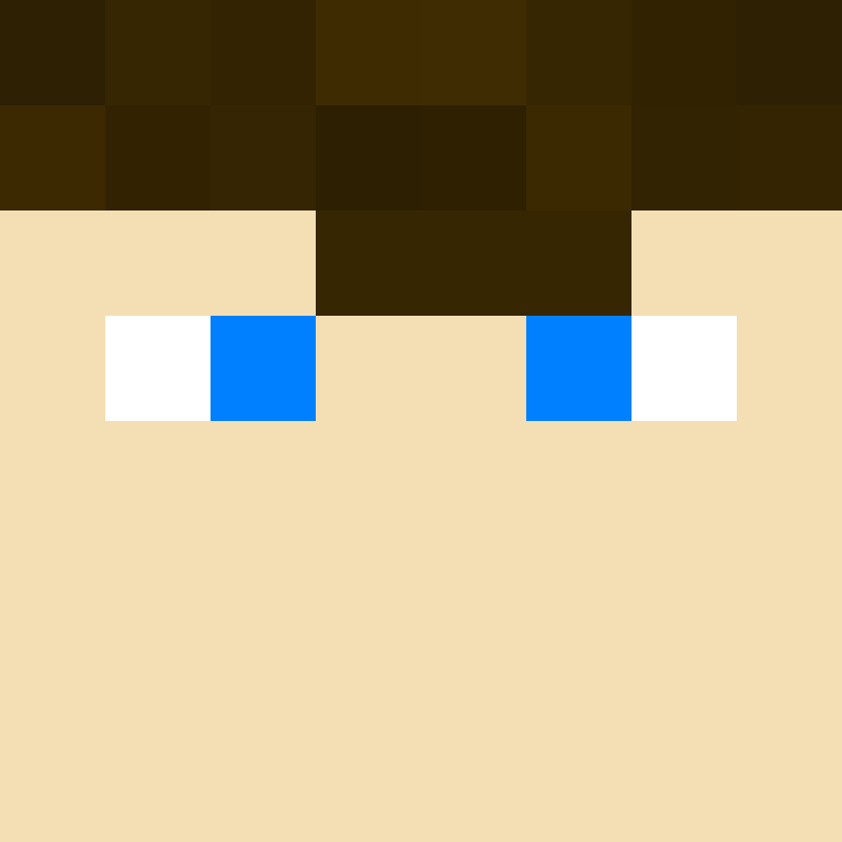spinchase's skin