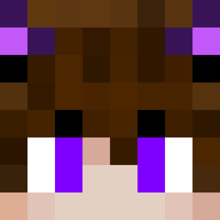 2shape's skin
