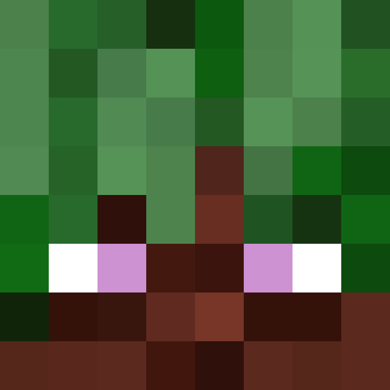 emtyfire's skin