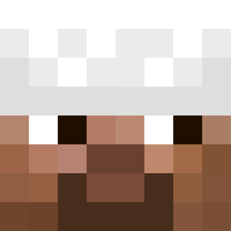 Invixit's skin