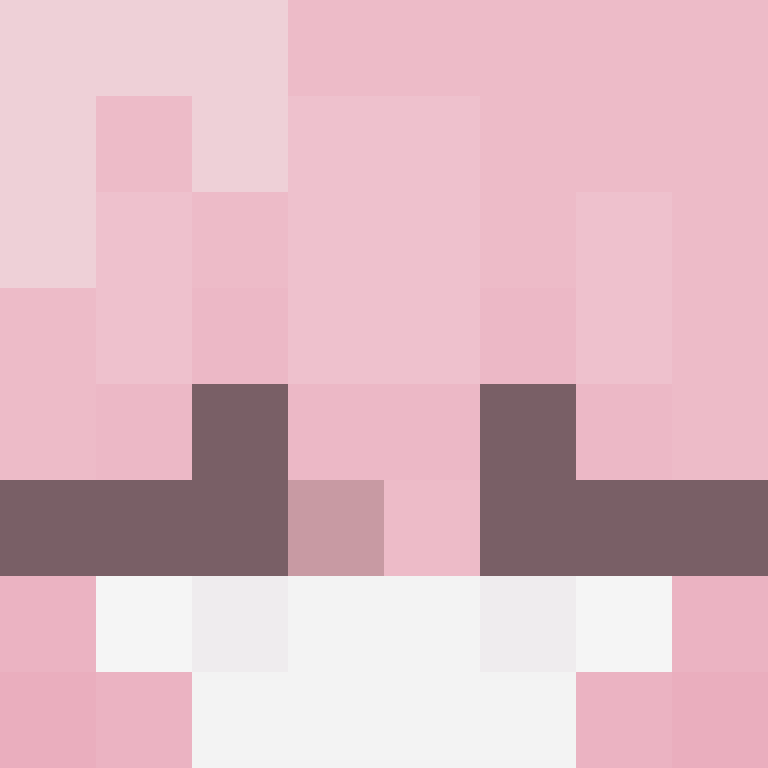 Nilient's skin
