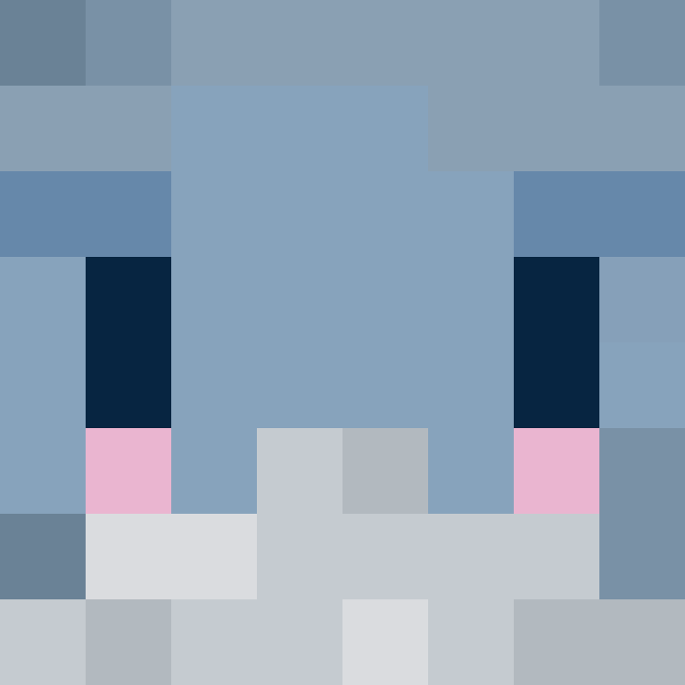 HOLOFETTI's skin