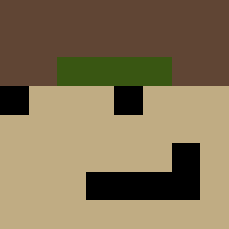 Nasa_Donut321's skin