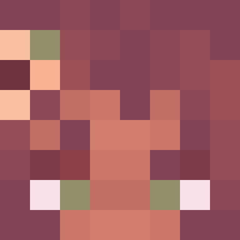 Shiftle's skin