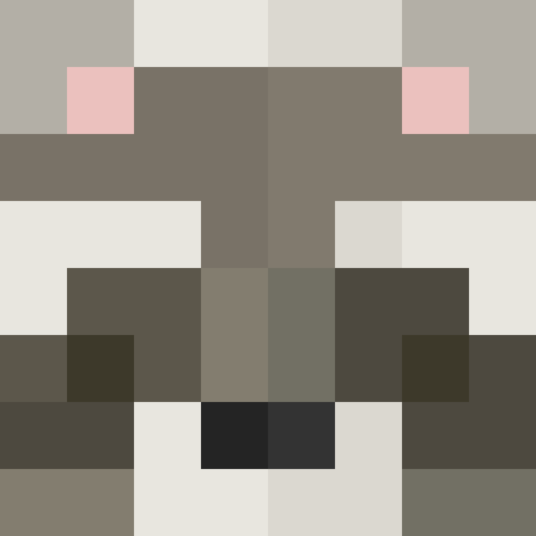 DuzzU's skin