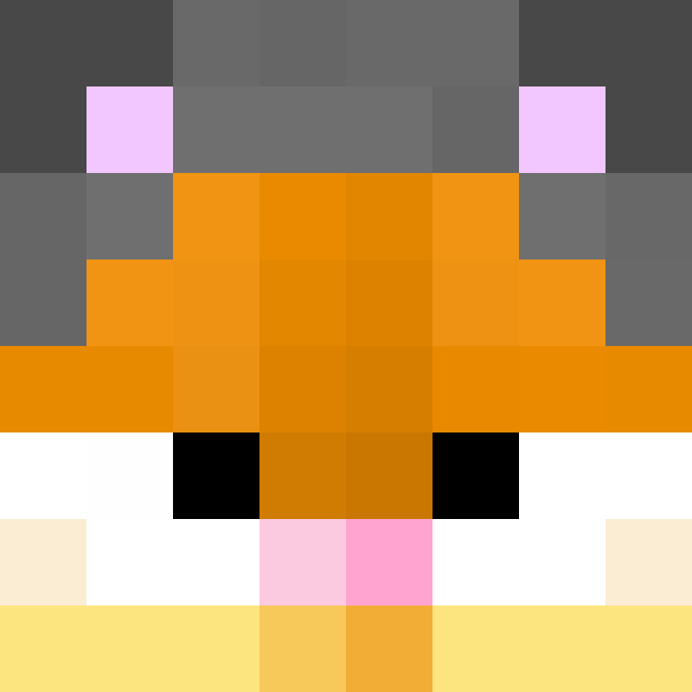 nekkoneet1337's skin