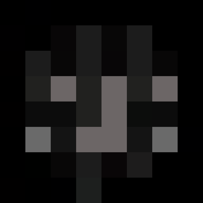 NWZXD's skin