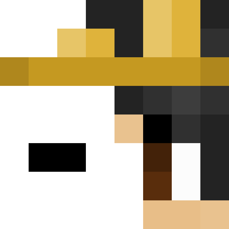 RocketRider's skin