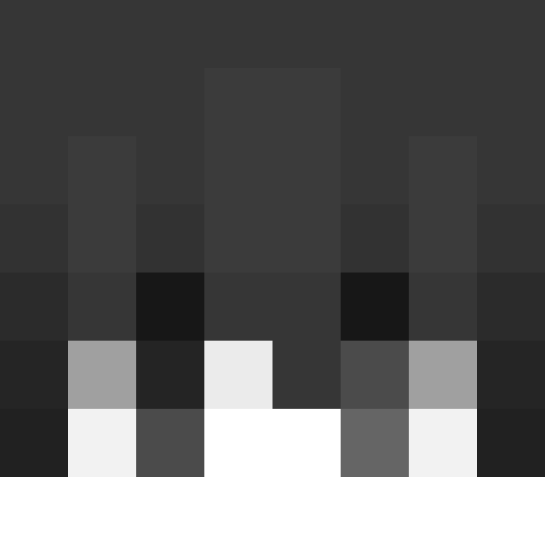xCrafter45's skin