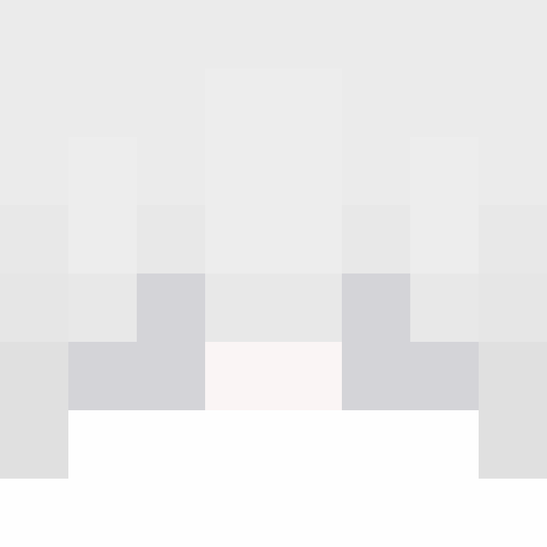 iUdio's skin