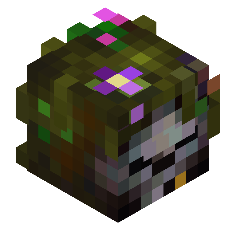 HEAD_ISO