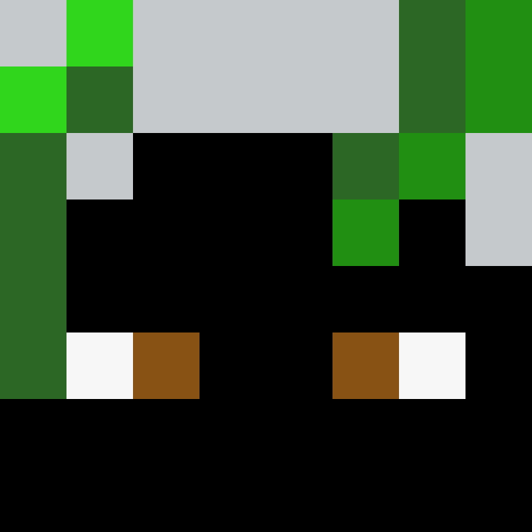 wasd1320's skin