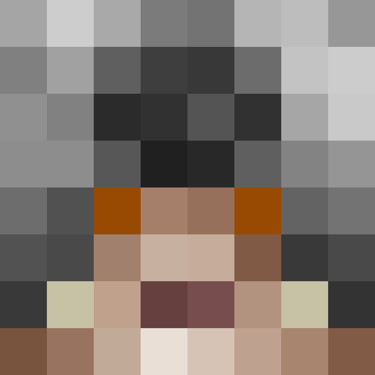 deminecrafterlol's skin