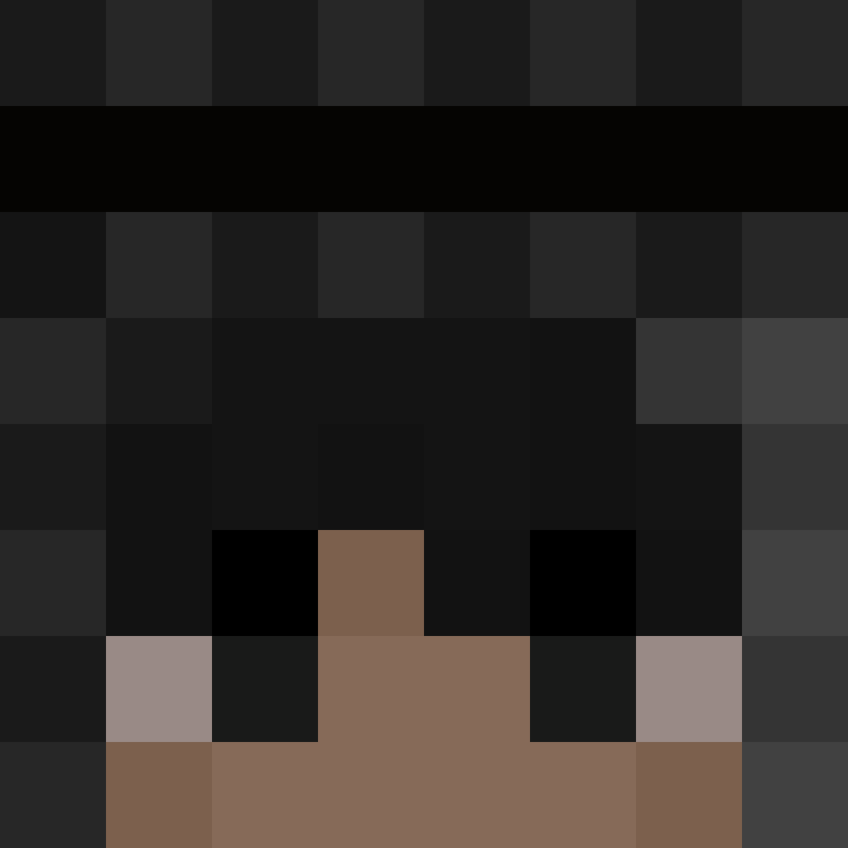 povNPC's skin