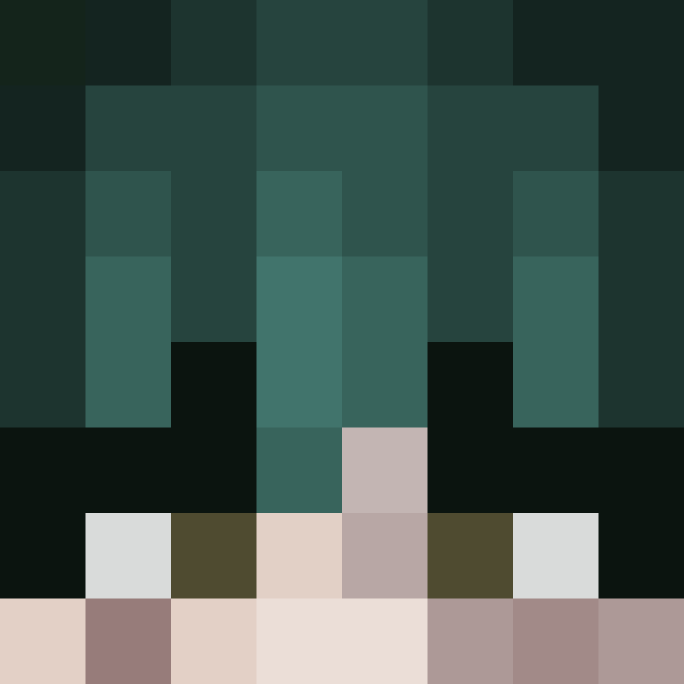 SSHL4T's skin