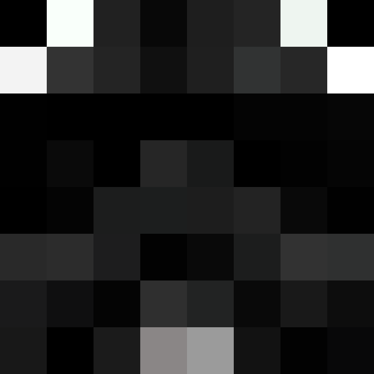 _LeBoucher's skin