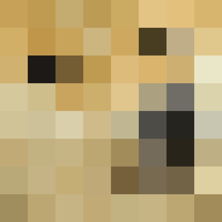 Nooooo's skin