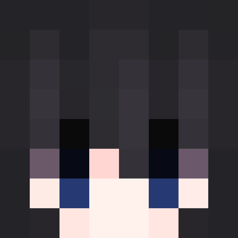 snlq's skin
