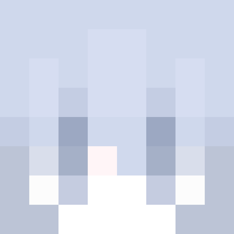shamwr's skin