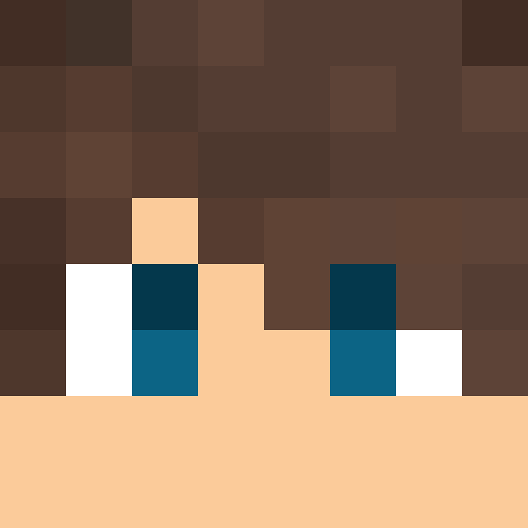AvinGaming01's skin