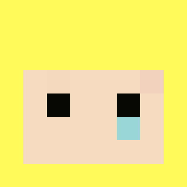 5h1h's skin