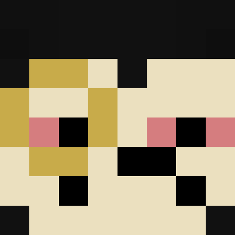 NEVARES_Dragnirs's skin