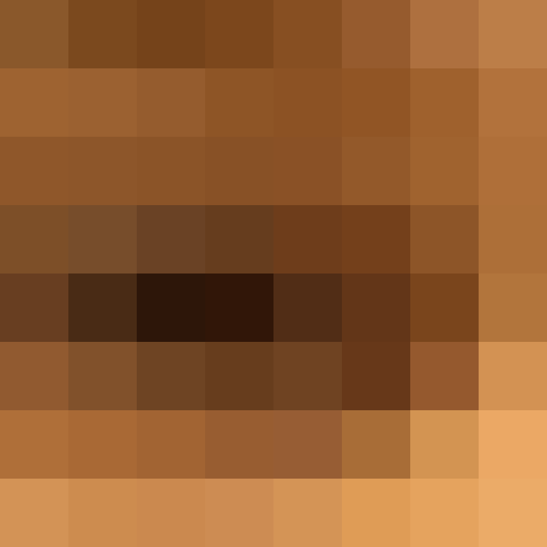 sebosa's skin