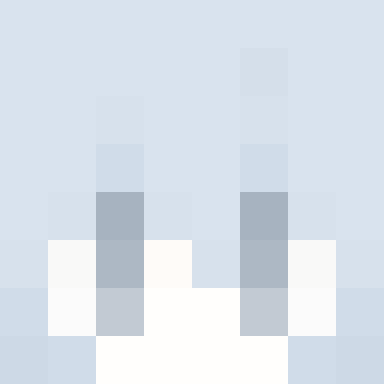 Crowds's skin
