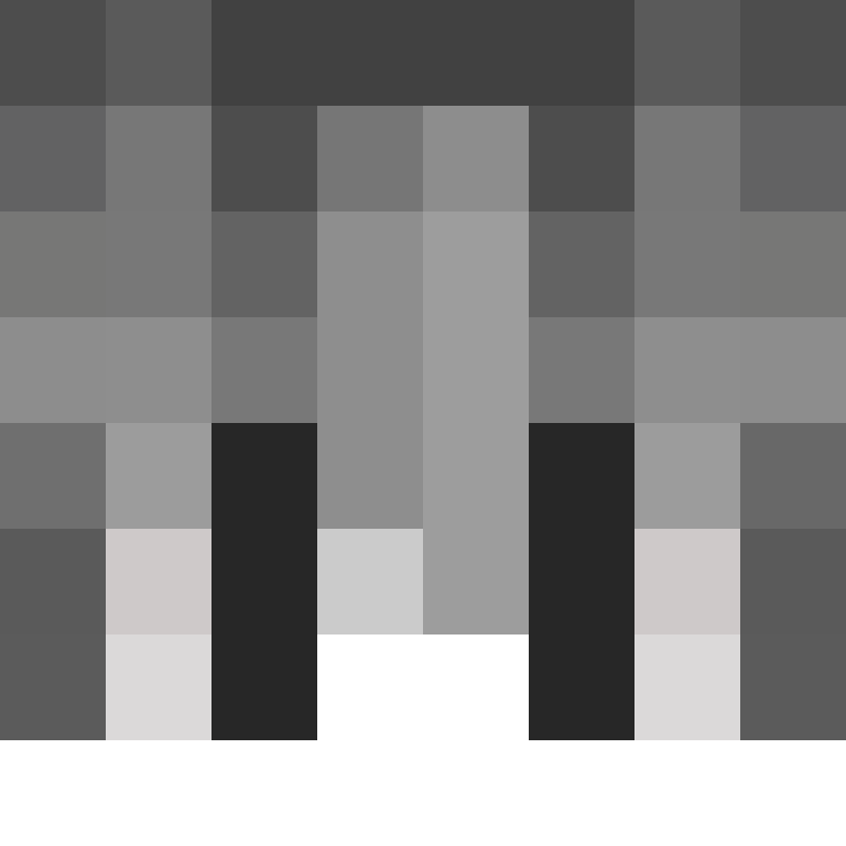888T's skin