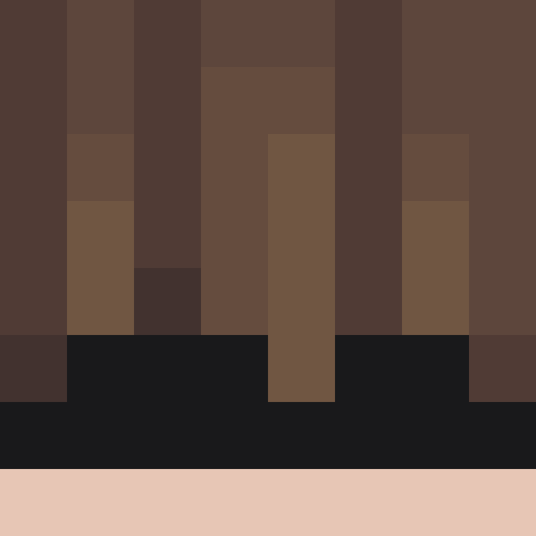 Bortablet's skin