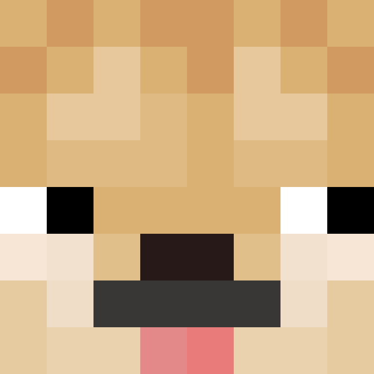 PhizXGaming's skin