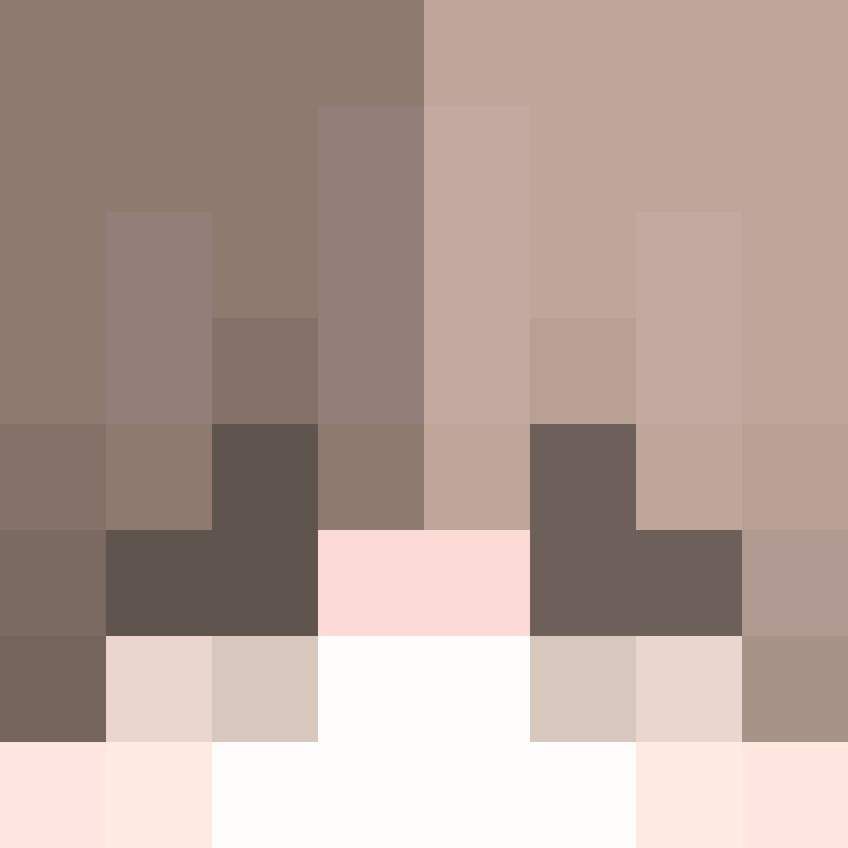 feNsterlol's skin