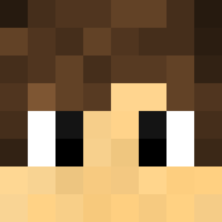 Moronicraft's skin