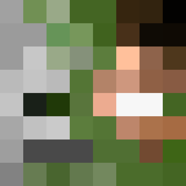 Reflags's skin