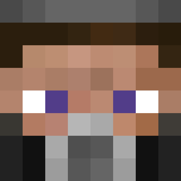 KinZPlayzMC203's skin