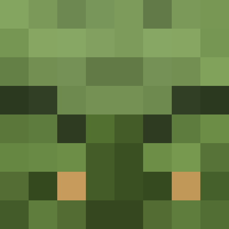 Pixxelzlol's skin