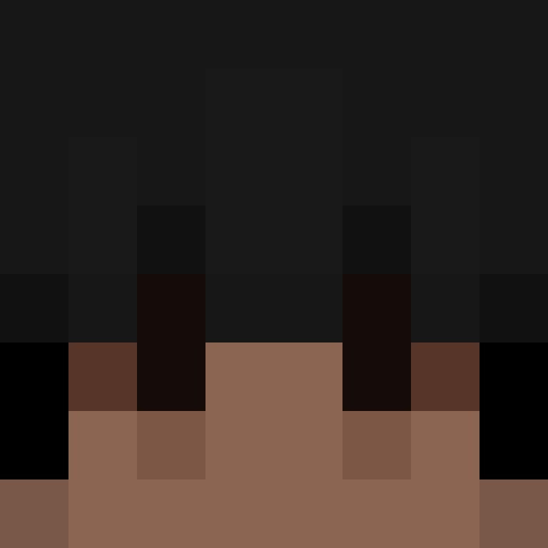 Toiletet's skin