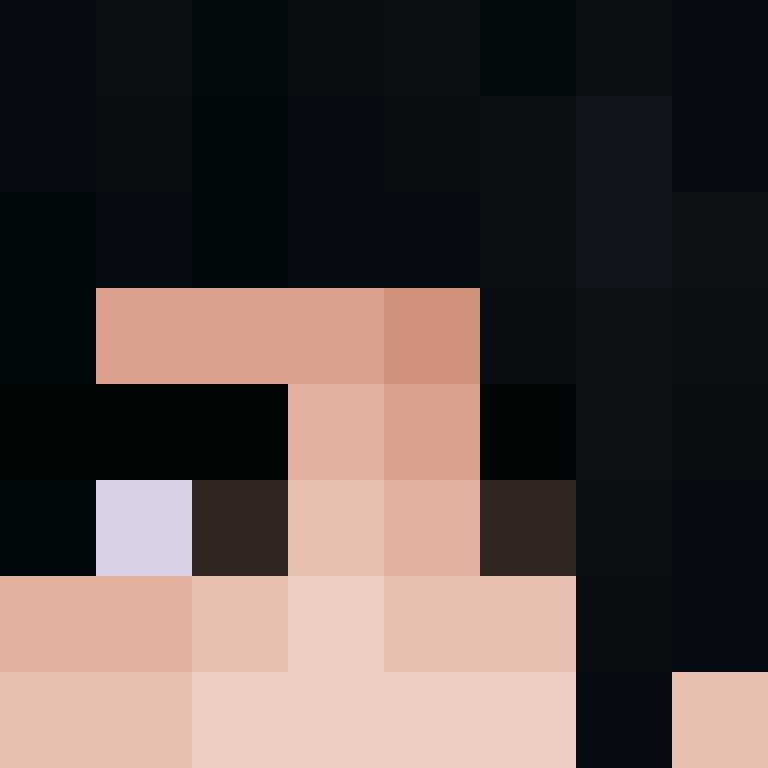 FocaFox's skin