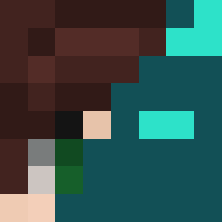 miniit's skin