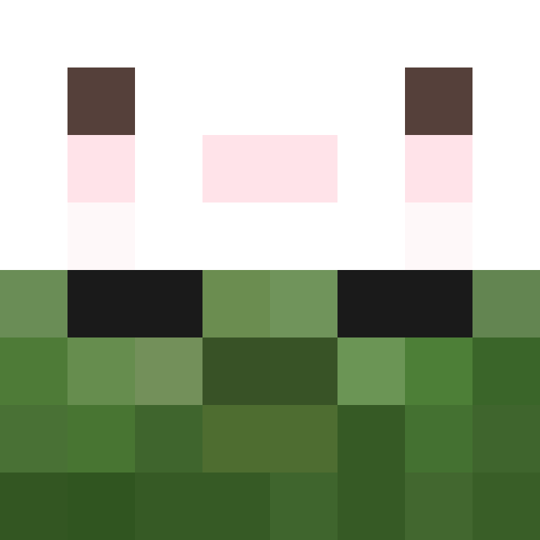 Leech3207's skin