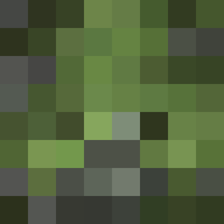 Shgwn's skin