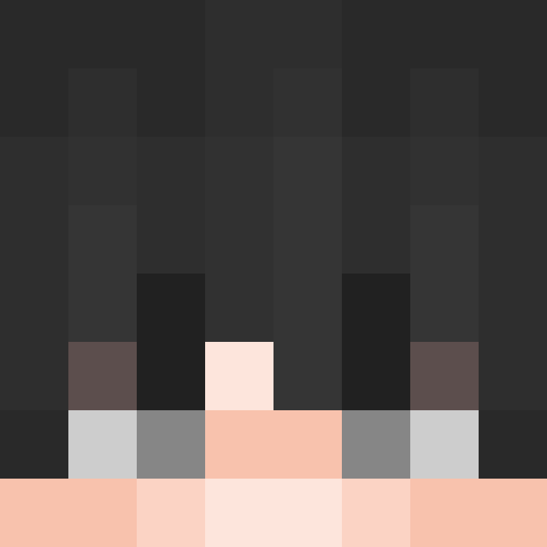 NotChava's skin
