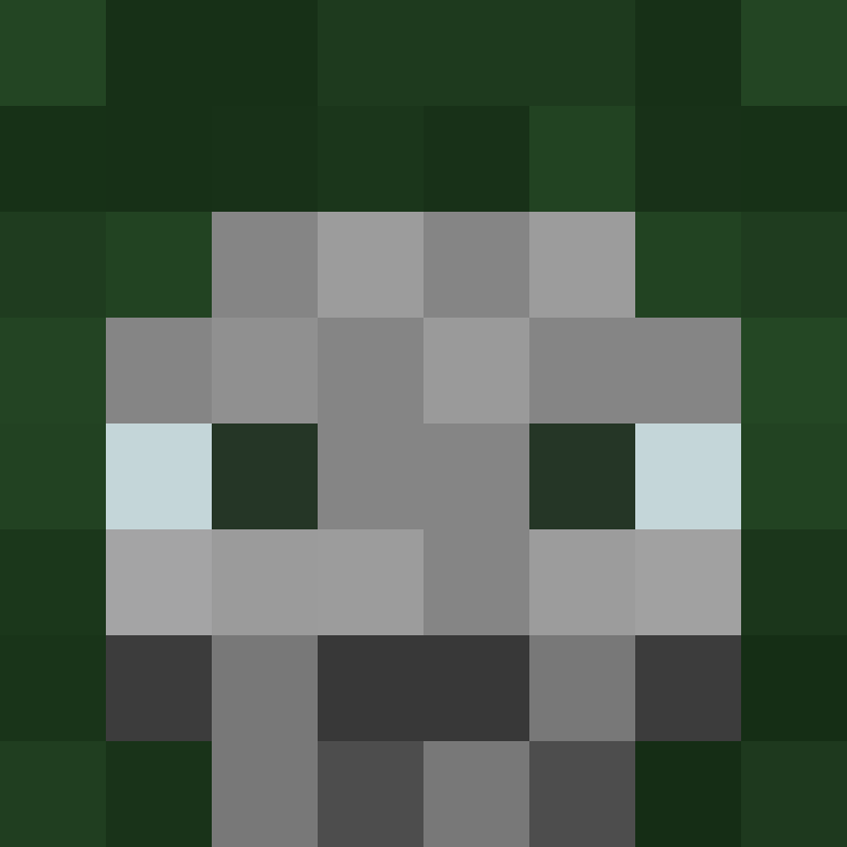 Nightwingmp's skin